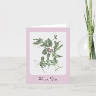 Hand Drawn White and Purple Hellebore Thank You Card