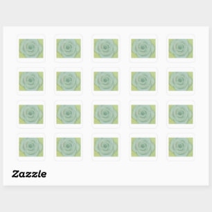 Hand-drawn White Rose Sticker