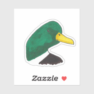 Hand-drawn Wildlife Nature Bird Mallard Duck