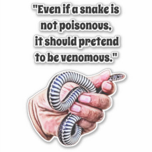 hand holding baby snake reptile quotes art