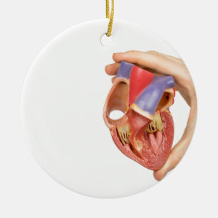 Hand holding model open human heart on white.jpg ceramic tree decoration