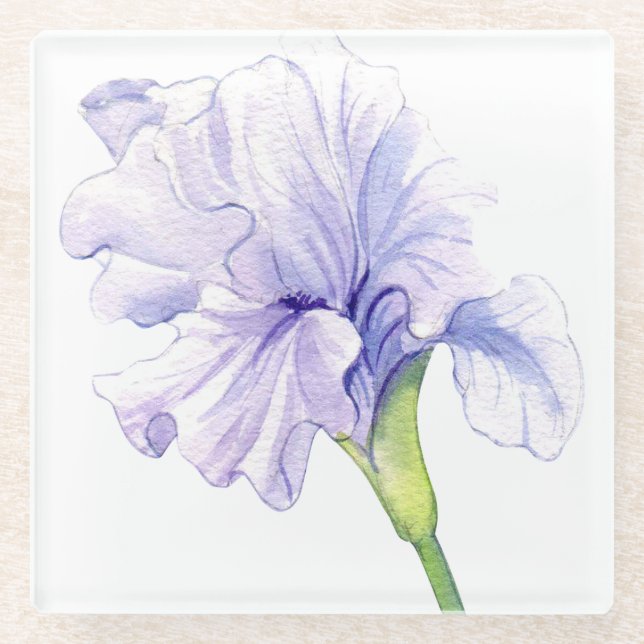 Hand illustrated Gladioli  Glass Coaster (Front)