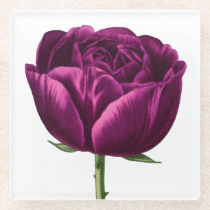 Hand Illustrated Stunning Deep Maroon Glass Coaster