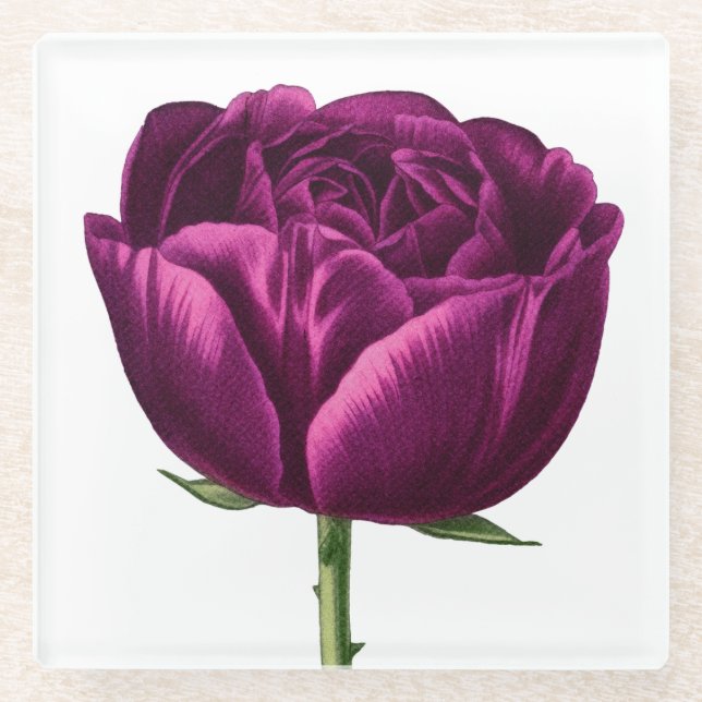 Hand Illustrated Stunning Deep Maroon Glass Coaster (Front)