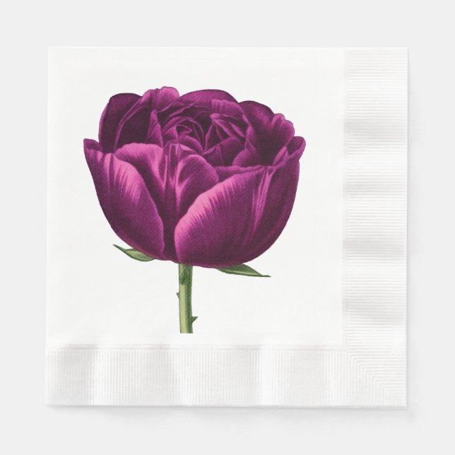 Hand Illustrated Tulip in a gorgeous deep Maroon Napkin (Front)