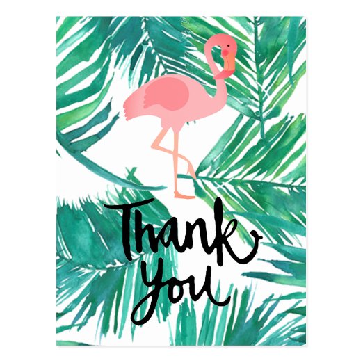 Flamingo Thank You Cards | Zazzle UK