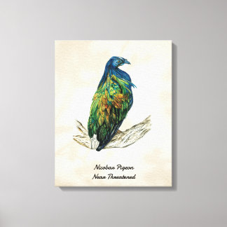 Hand Painted Bird Print on Canvas