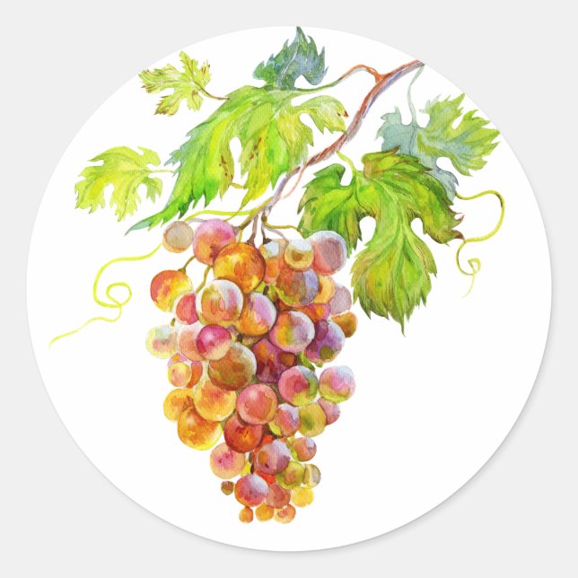 Hand painted bunch of grapes Classic Round Sticker (Front)