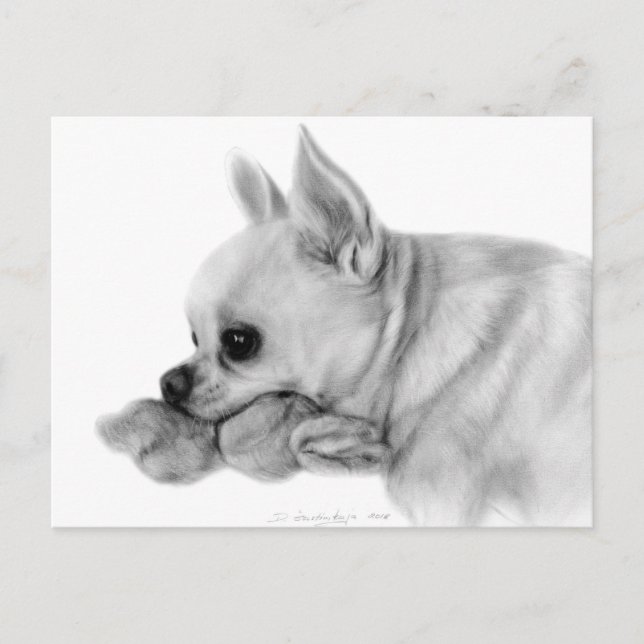 Hand Painted Chihuahua Bela With Favourite Toy Postcard (Front)