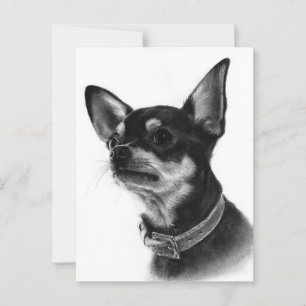 Hand Painted Chihuahua Head Study Postcard