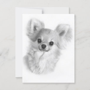 Hand Painted Chihuahua Puppy Expression Postcard