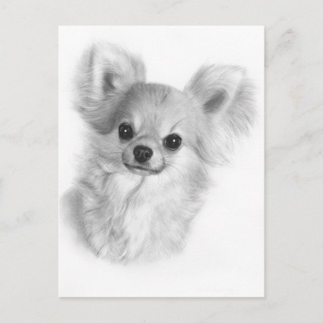 Hand Painted Chihuahua Puppy Expression Postcard (Front)