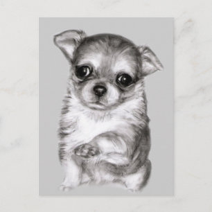 Hand Painted Chihuahua Very Cute Puppy Postcard