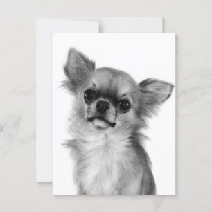Hand painted Cute Chihuahua Artwork Postcard
