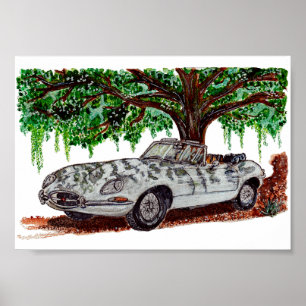 Hand Painted Jaguar E-Type Convertible Watercolor  Poster