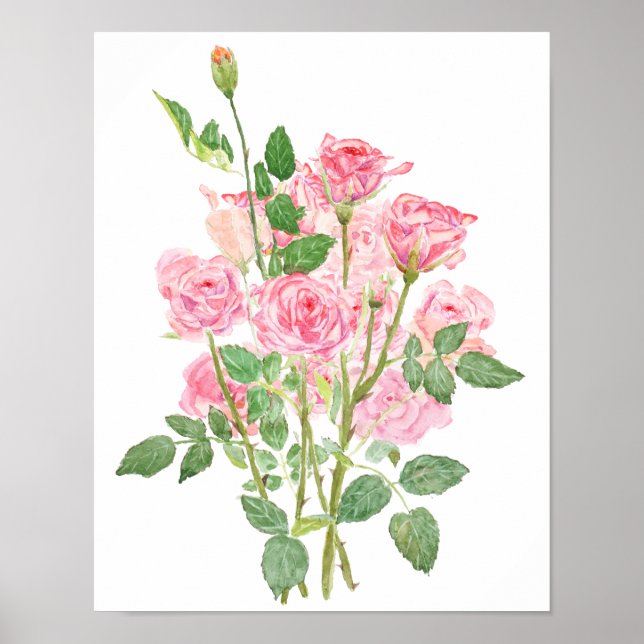 hand painted pink rose watercolour poster (Front)