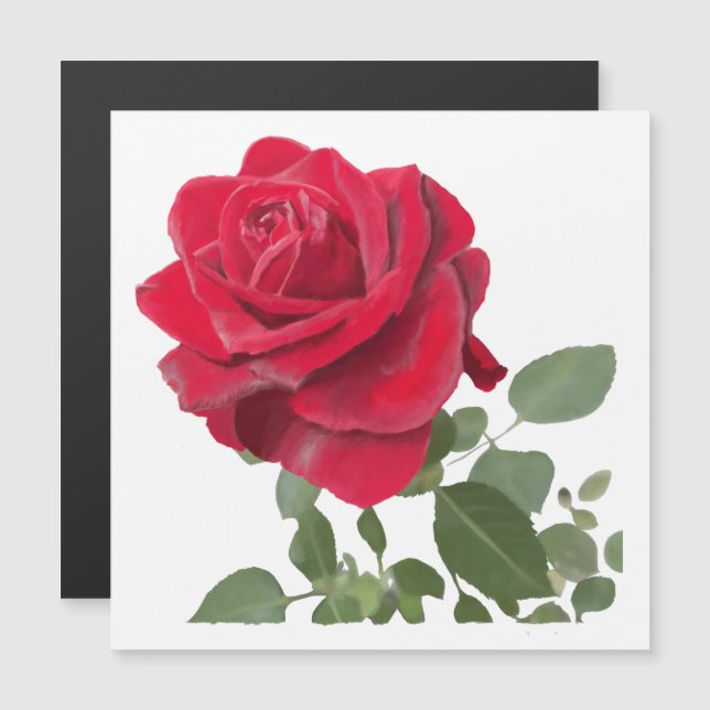 Hand Painted Red Rose Botanical Magnetic Card (Front/Back)
