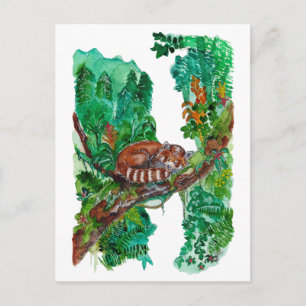 Hand Painted Sleeping Red Panda Watercolor Art Postcard