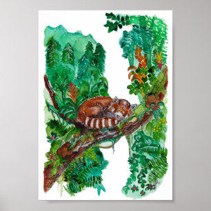Hand Painted Sleeping Red Panda Watercolor Art Poster