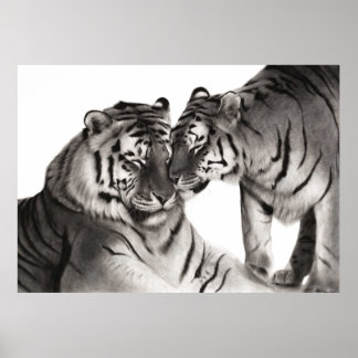 Hand Painted Tiger Artwork - Wildlife Wall Decor