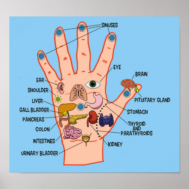 Hand Reflexology 13x12" Poster (Front)