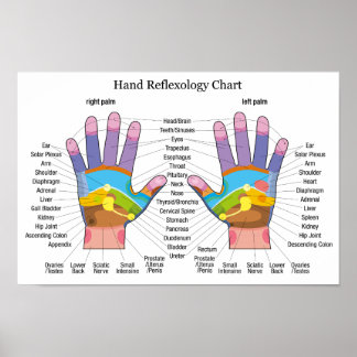 Hand Reflexology 16x11" Poster