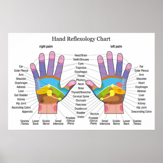 Hand Reflexology 36x24" Poster (Front)