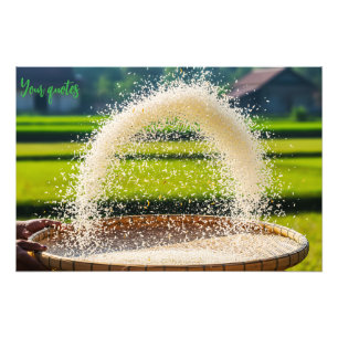 Hand Sifting Fresh Rice Grains Rustic Farm Photo Print