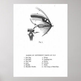 hand tied fishing fly poster