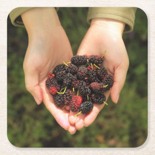 Handful of Mulberry Berries Fresh and Sweet Square Paper Coaster
