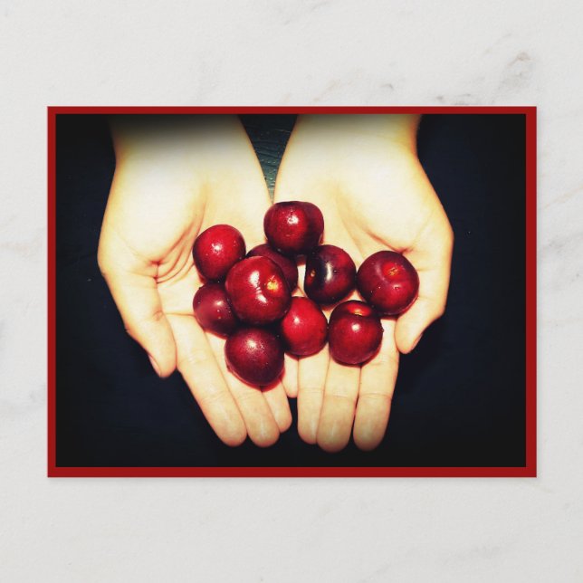 Handful of Ripe Cherries Postcard (Front)