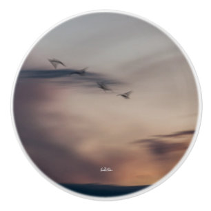 handle of door photo birds abstract ceramic knob