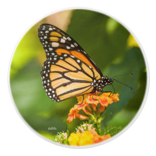 Handle of photo door of a butterfly ceramic knob
