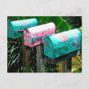 Handpainted Mailboxes in Florida Postcard