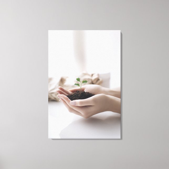 Hands Holding Seedling Growth Hope Canvas Print (Front)