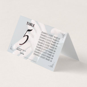 Hands of a Gay Wedding Couple with Rings