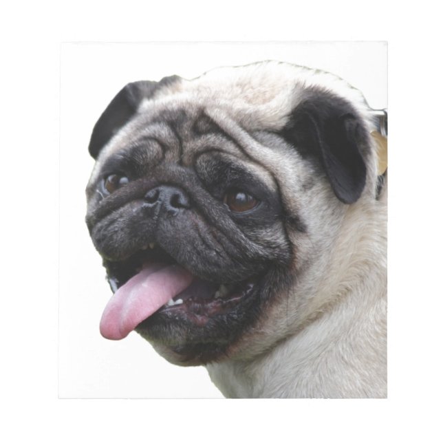 Handsom white Pug photo accessories, add names Notepad (Front)