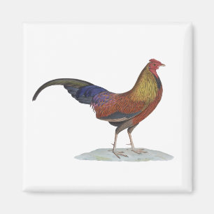 Handsome Alert Rooster Magnet