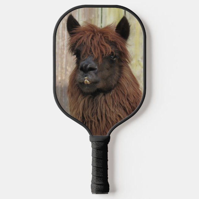 Handsome Alpaca Pickleball Paddle (Front)