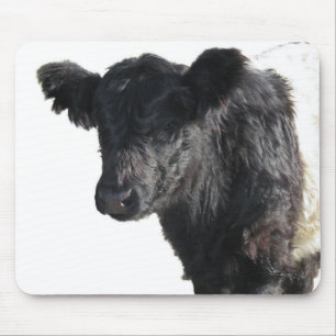 Handsome Belted Galloway Steer Mouse Mat