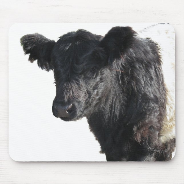 Handsome Belted Galloway Steer Mouse Mat (Front)