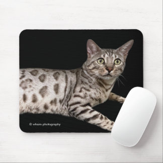 Handsome Bengal Cat Chillaxing in the Condo Mouse Mat