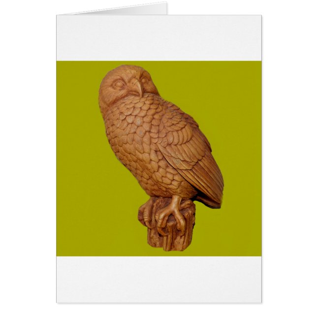 handsome brown owl (Front)