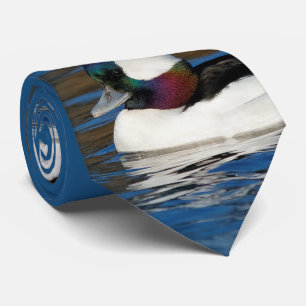 Handsome Bufflehead Duck at the Winter Pond Tie