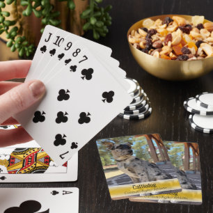 Handsome Cattle Dog Heeler Mix Template Photo Playing Cards