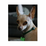 Handsome Chihuahua Standing Photo Sculpture<br><div class="desc">Fawn Chihuahua Picture</div>