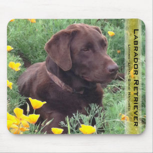 Handsome Chocolate Labrador Retriever Hunting Dog Mouse Mat