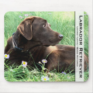 Handsome Chocolate Labrador Retriever Pet Dog Mouse Mat