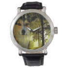 Handsome Corgi in the Woods