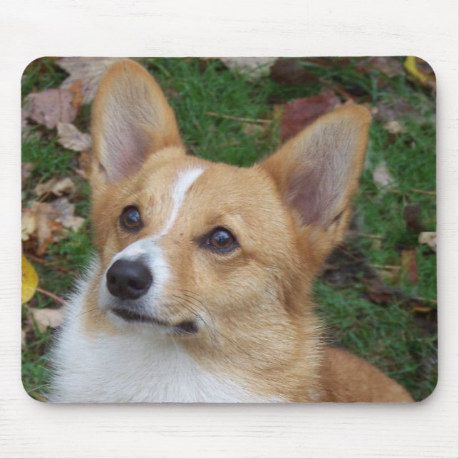 Handsome Corgi Mouse Mat (Front)